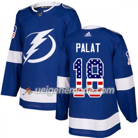 Herren Eishockey Tampa Bay Lightning Trikot Ondrej Palat 18 Adidas 2017-2018 Blue USA Flag Fashion Authentic